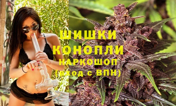 крисы Козельск